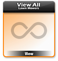 View All