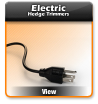 Electric